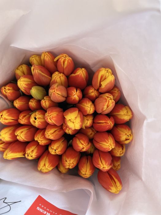 Продам тюльпаны 800т