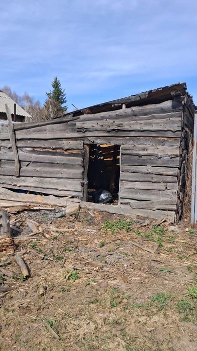 Доски даром. Белый луг