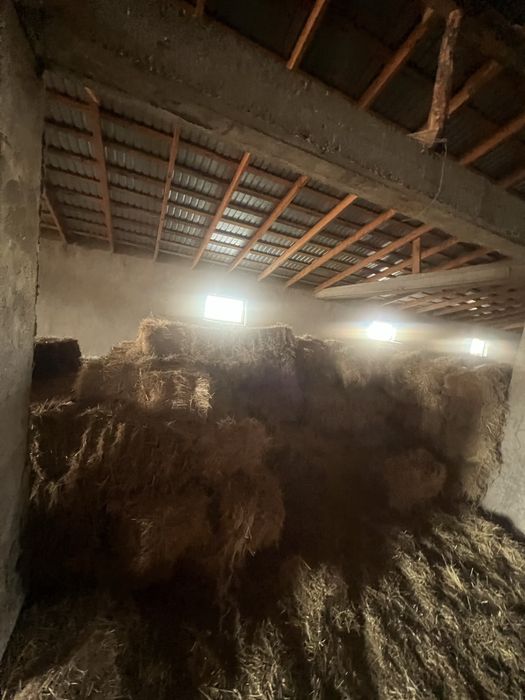 Прес, тюк бар сатылатын