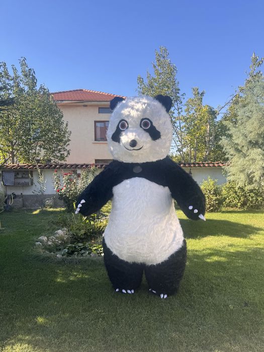 Мечка Панда -изненада