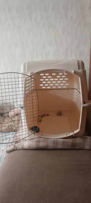 Бокс авиационный для крупных собак