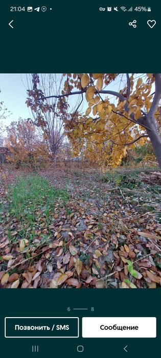 Nihol kuchatlari sotiladi hamma mevalardan bor narxlari 7000 so'mdan b