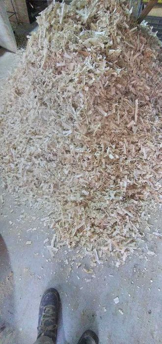 Vand rumegus si talas uscat si curat-DOLJ