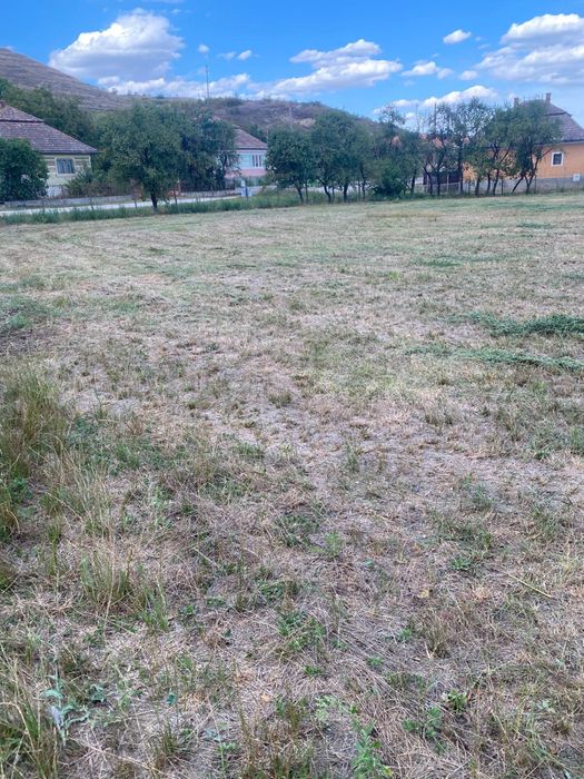Vand Teren in Stejeris - 0753019211