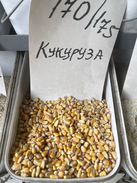 Корм для собак. Кошек. Для кур.