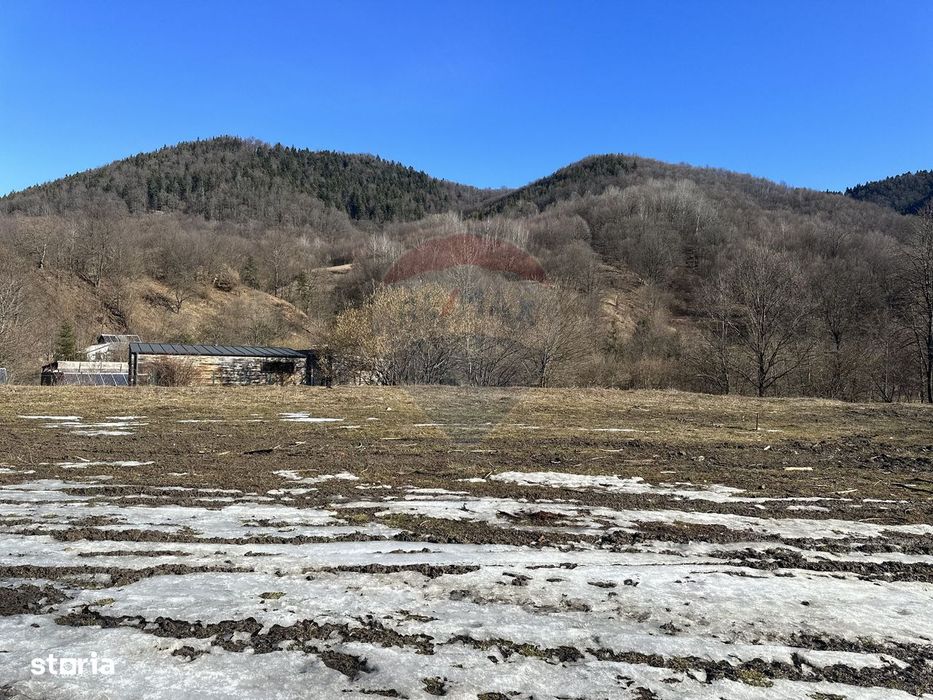 Teren 1,340mp Cuejdiu / Strada Cuejdiului