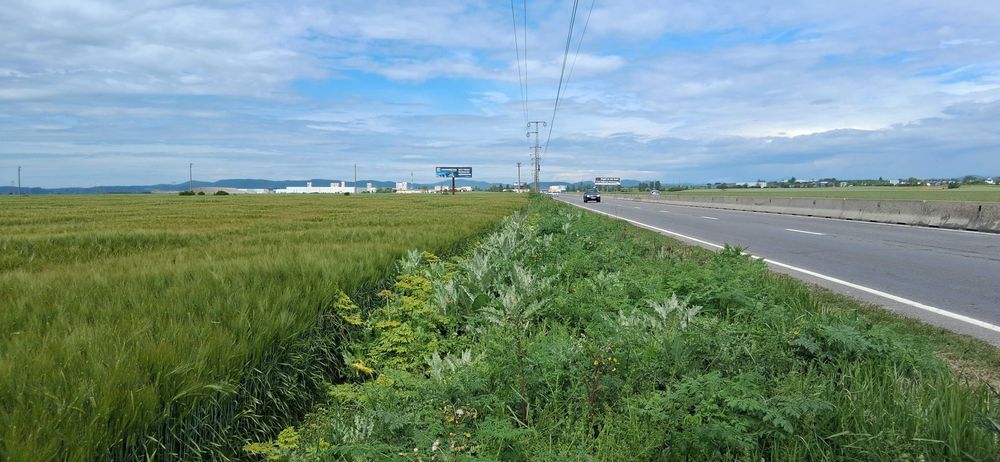 Teren 15.533 mp,deschidere 39 ml la DN1 ideal investitii industriale