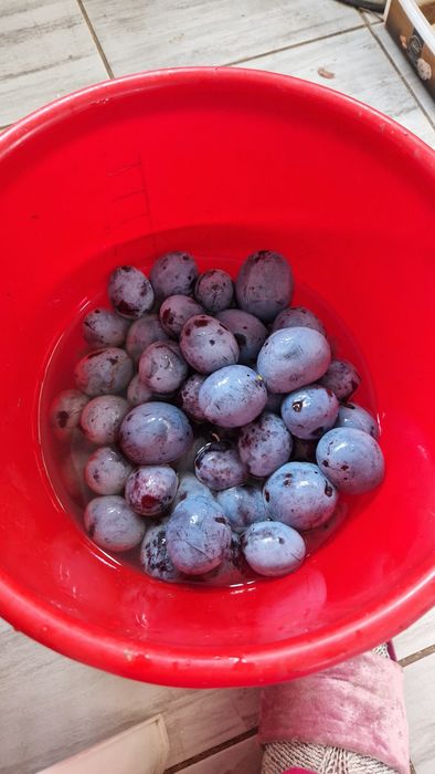 Dulceață de prune