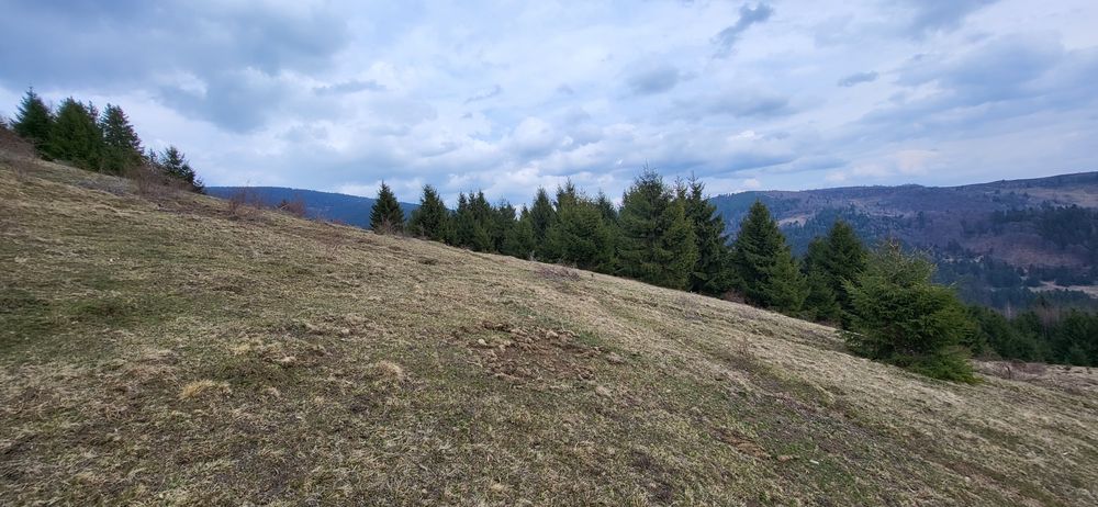 terenuri de vanzare, INDIVIDUAL SAU TOATE LA UN LOC, situate în Lupșa