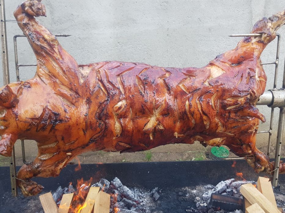 evenimente protap rotisor animale vitel miel purcel