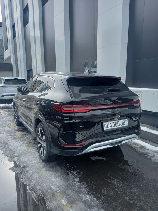 BYD Song Plus chempion 2024