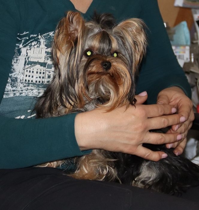 Брутальный жених ждёт своих девочек