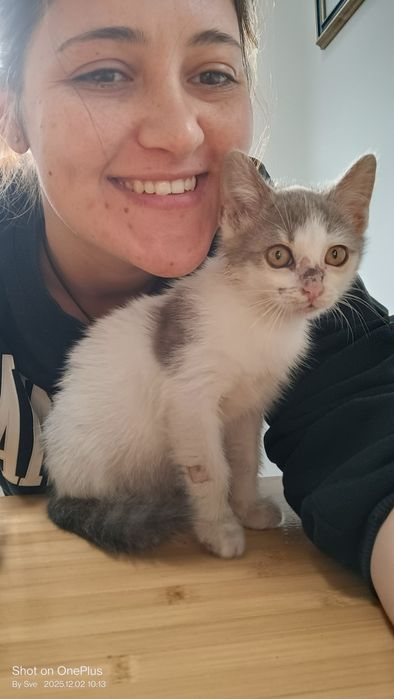 Неко - шепа любов