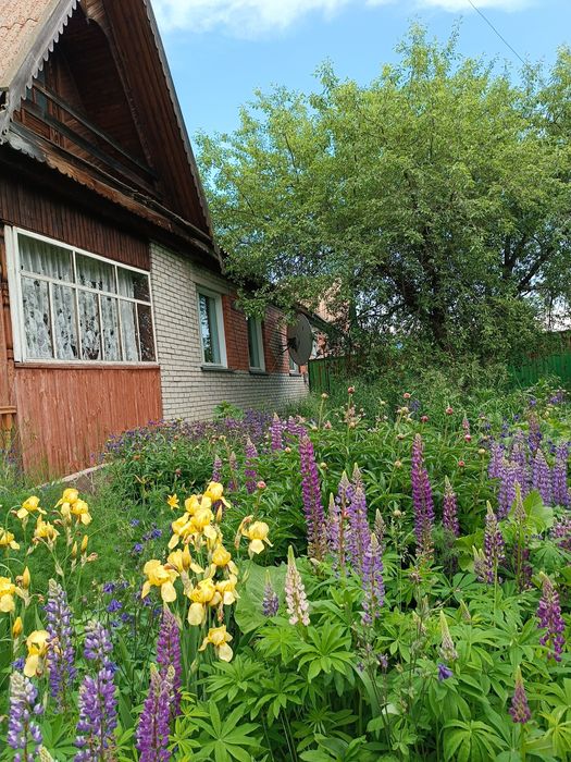 Продам жилой дом