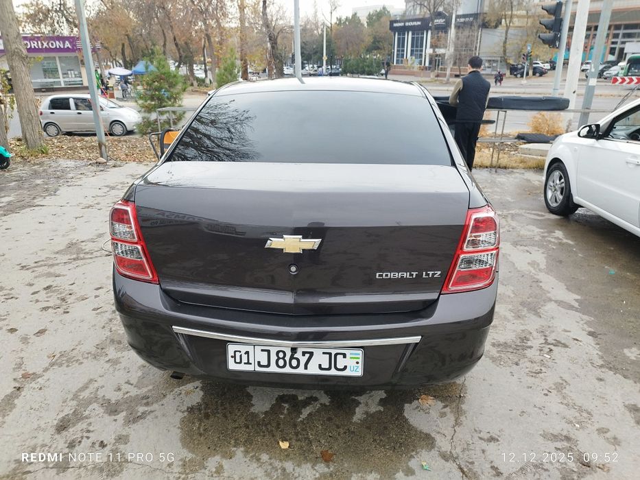 2021 краска тозза