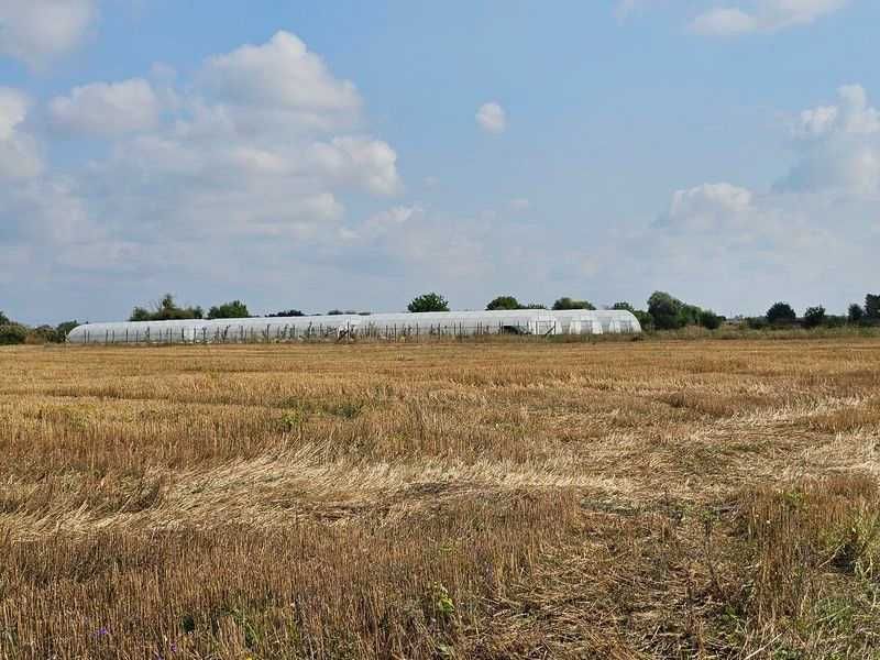 Продава се Земеделски имот в с. Крислово, Област Пловдив -  кв.м за 62 €/дка - Снимка #6