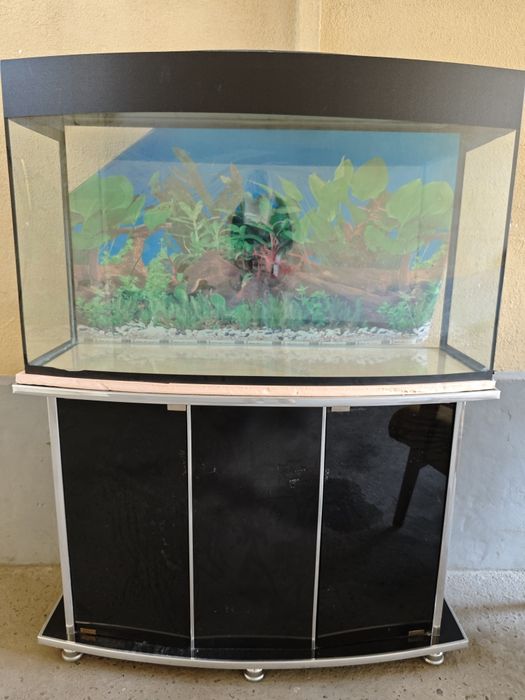 Akvarium sotiladi 250 litr