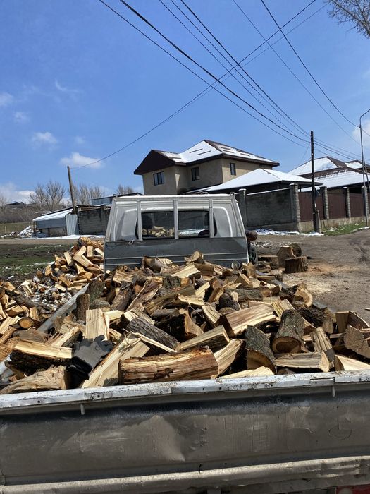 Дрова Карагачь Рубленные