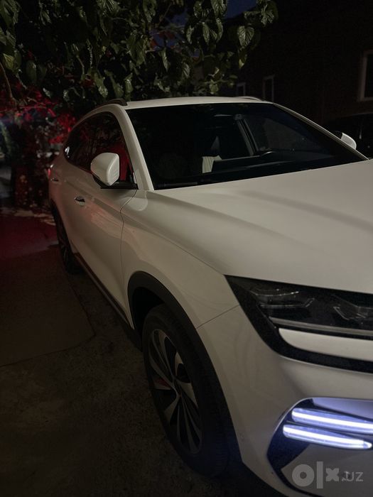 BYD Champion 605 EV