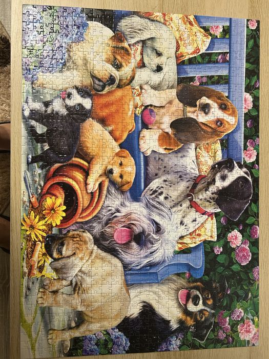 Tablou puzzle 1000 piese