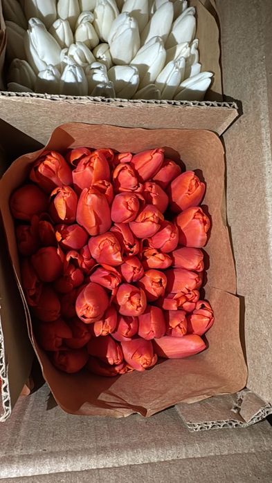 Тюльпаны с оформлением 700 тг.