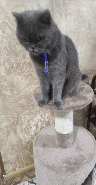 Vyazkaga qoshishga sotilmidi ‼️klient bolasidan beradi