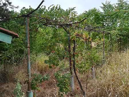 Продава се Къща в София, Център - 450 кв.м за 43 €/кв.м - Снимка #3