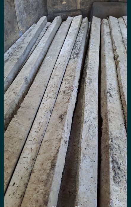 Spalieri pentru vie si gard