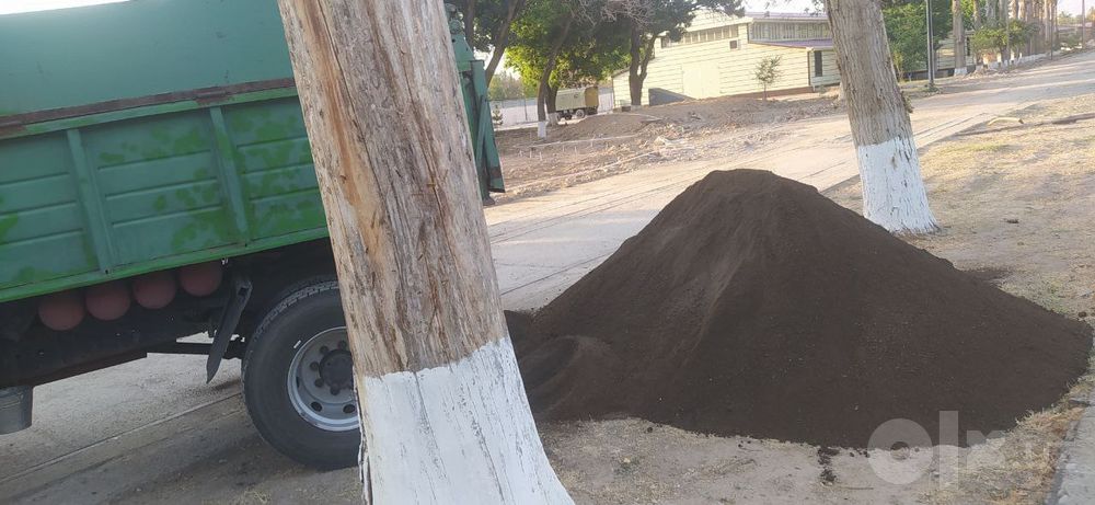 Biogumus gazonlar va turli xil ekinlar uchun