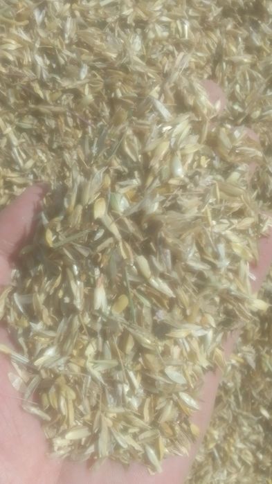 Отходы Отруби Корм зерноотходы