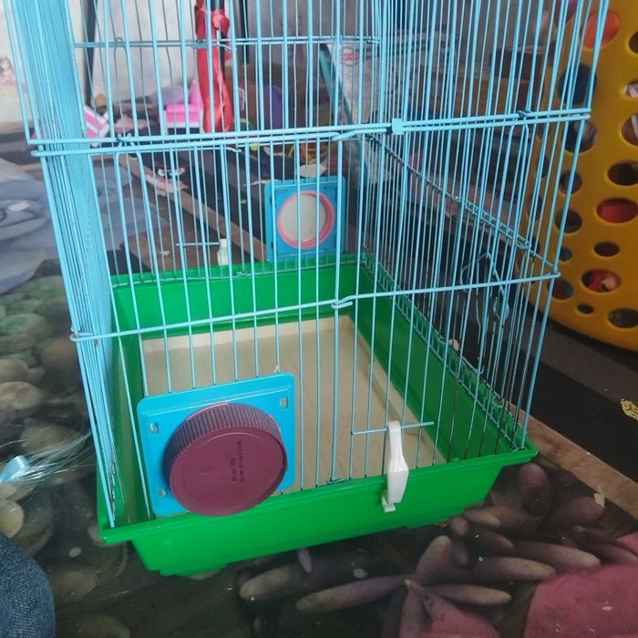 Клетка для хомяка