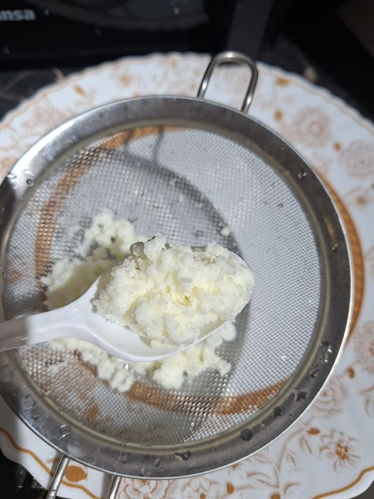 Молочный Тибетский гриб.