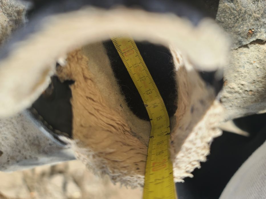 Ghete Pepino by Ricosta 24