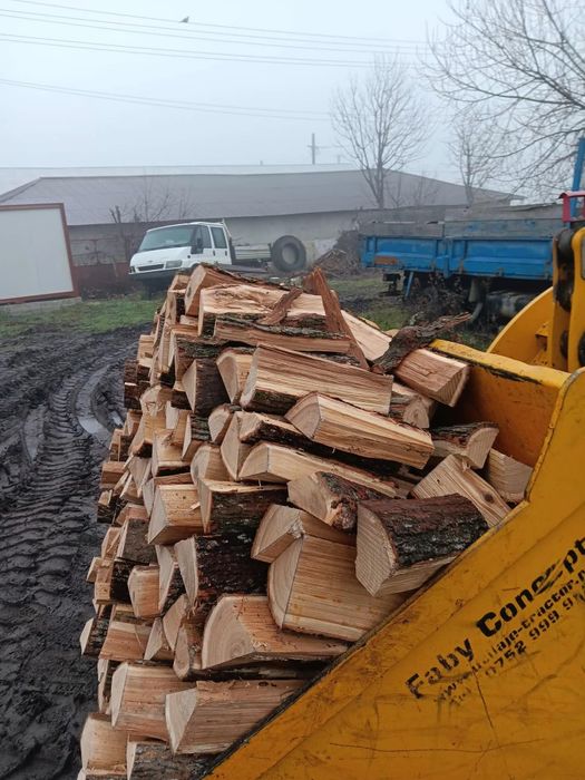 Lemn de foc esență tare