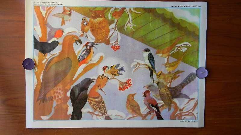 Planse pentru prescolari din perioada comunista