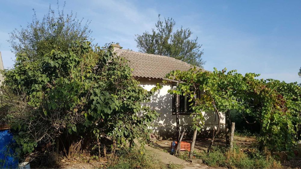 Дава се под наем Промишлена сграда в с. Йорданово, Област Силистра - 950 кв.м за 250 € - Снимка #4