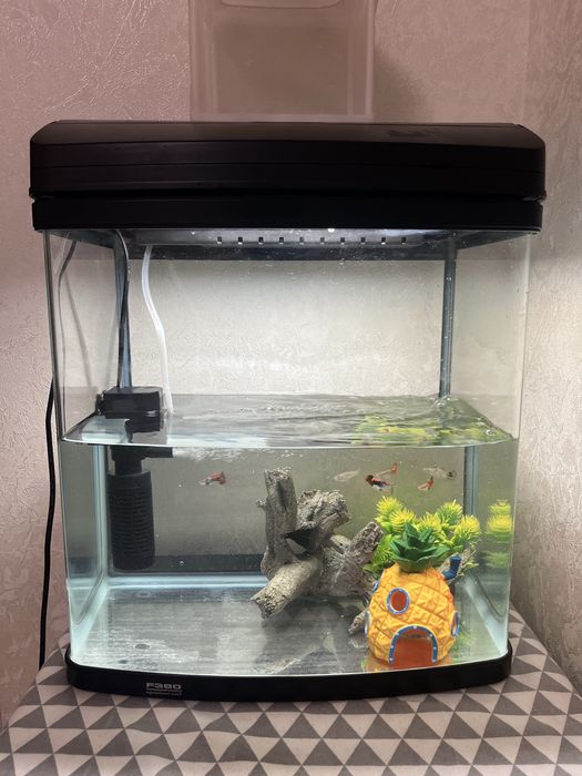 Аквариум в хорошем состояний