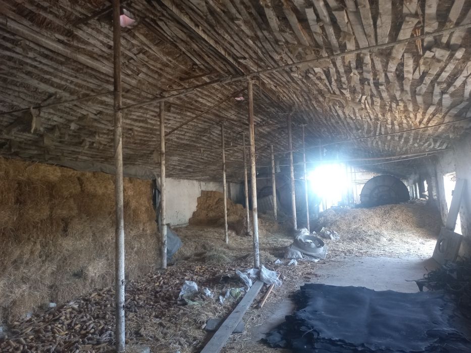 Продаётся земельный участок коммерческого назначения в Янгиёле (Ташкен