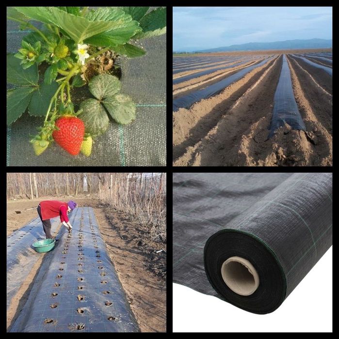 IMPORTATOR AGROTEXTIL/Antiburuieni 0.5x100m=170lei;1x100ml=260lei;