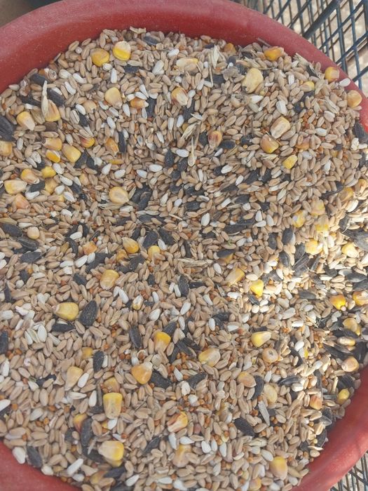 Жес арпа бидай отруби