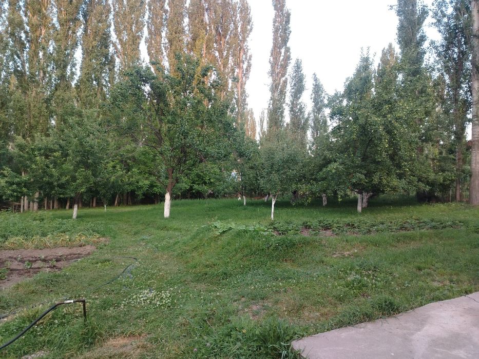 Срочно. Үй сатылады Дауан Аль Фараби 6