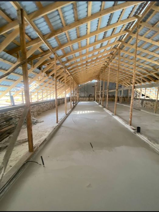 Penalomboz,tombosti ,lomboz ломбоз, томшувок томбости,чернопотолокpena