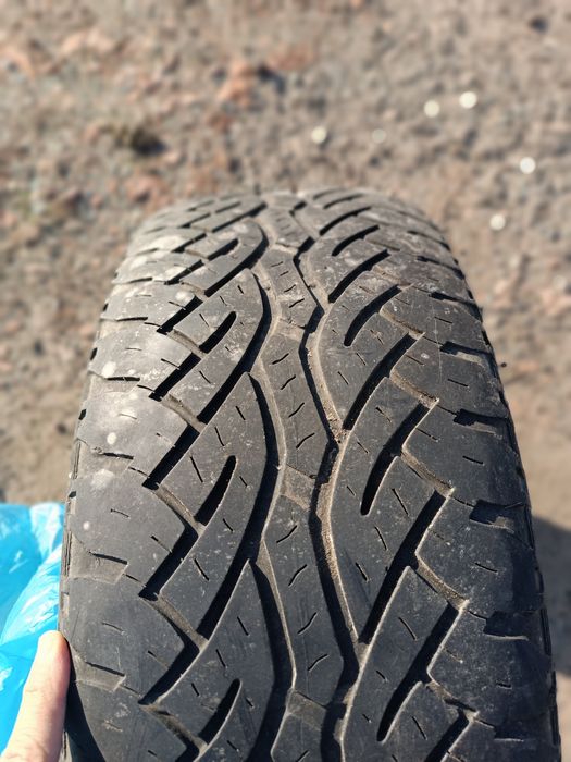 Резина 255х60х18