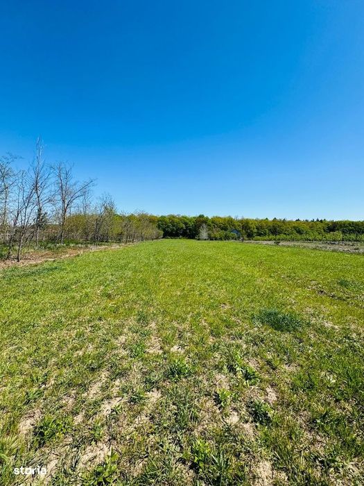 Teren intravilan 3800 mp Alparea lângă pădure