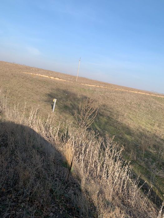 Продам участок 5 гектаров срочна