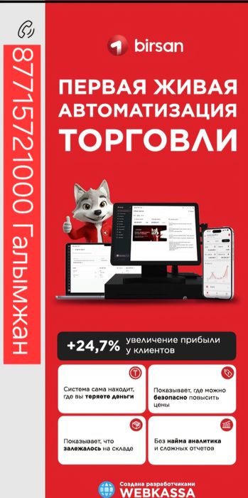 Программа учета для магазина birsan