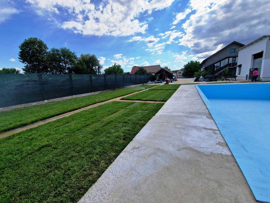 Gazon Rulou Premium  - 30 lei/MP Transport Gratuit