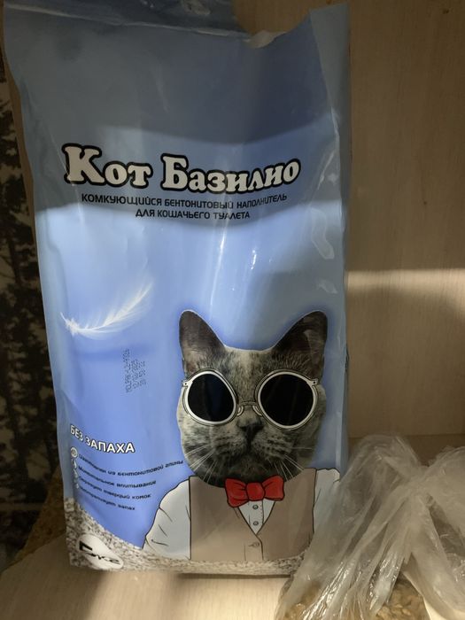 Шотландский маргау сатылады