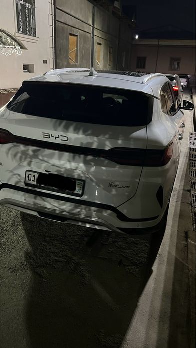Byd champion Ev 2024