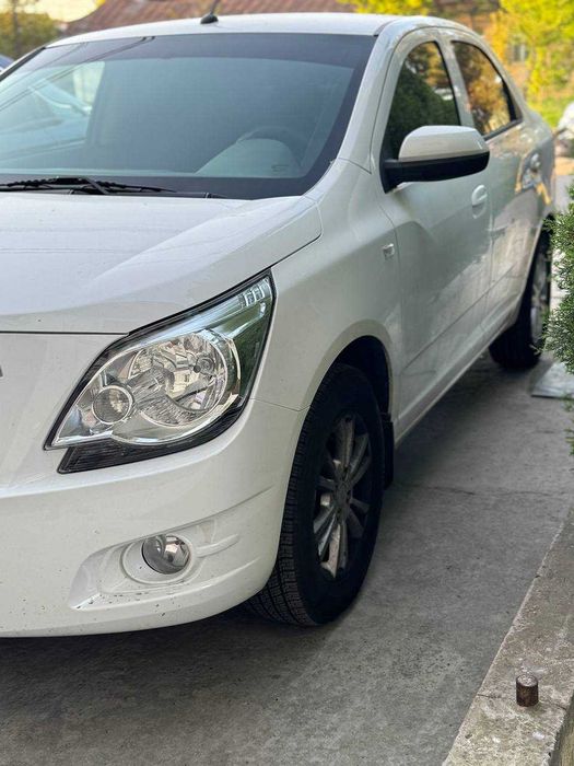 СРОЧНО!!! Коболт МСМ 2026